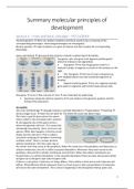 Complete summary of all lectures of the molecular principles of development course