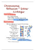 Gene Linkage Summary