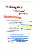 Prokaryotes II Summary