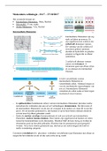 Samenvatting H.17