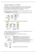 Samenvatting H.15