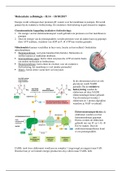 Samenvatting H.14