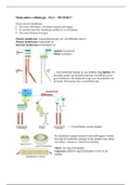 Samenvatting H.11