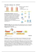 Samenvatting H.6