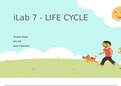 SCI 228 Week 7 Lab; Toddler