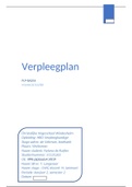 verpleegplan plp basis