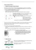 Samenvatting HC.4 - elektronenmicroscopie