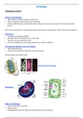 1st year Biochemistry revision notes