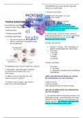 Clase 1: Teoría Endosimbiotica