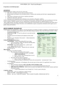 N490 Spring 2019 Final Exam Blueprint