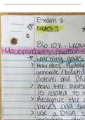 BIO 107: Macromolecules_Lecture Notes