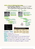 McCurnins Chapter 36 Veterinary Dentistry Review