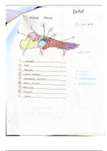 SPORTS MED 2: Diagrams of Foot Bones and Arches