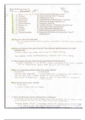 SPORTS MED 2: Chapter 14 Study Guide: Anatomy of the Foot