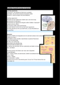 Syllabus Microbiologie 