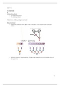 Summary Sensation & Perception (tentamen 2) (Cijfer 8,1)