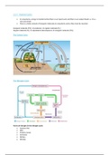 Nutrient Cycles