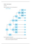 Zeer gedetailleerde samenvatting Recht & Regulering: Probleem 1 t/m 8