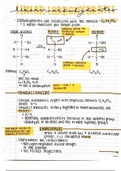 Carbohydrates, Restriction Enzymes, and Nitrogenous Bases 