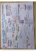 Mindmap alle bronnen (in bron 2)