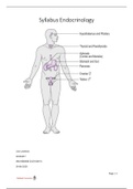 Syllabus Endocrinology