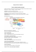 Brain & Cognition Interim I & II