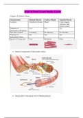 Chamberlain College of Nursing : BIOS 252 Final Exam Study Guide / BIOS252 Final Exam Study Guide (NEW): Anatomy and Physiology II (Latest Guide Download to Score A)