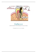 OOA Cyclus 2.11