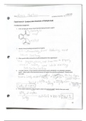 condensation reaction lab