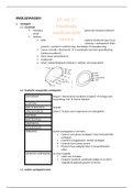 vitamine C houdende koolhydraatbronnen