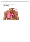 Ziektebeeld Pneumothorax Long