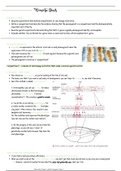 2. Homeotic Genes