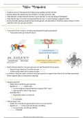 13. Histone Modifications