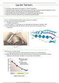 12. Epigenetics Introduction