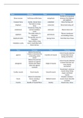 Ch. 5 Musculoskeletal System Notes