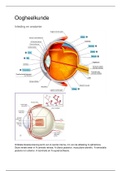 VVV week oogheelkunde samenvatting