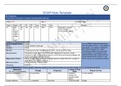 NR 509 Week 6 Pediatric SOAP Note, Summer 2021 complete solution.