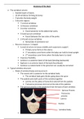 Anatomy of the Back