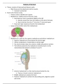 Anatomy and Development 3