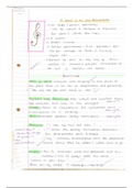 GCSE Grade 9 Edexcel English- Detailed Analysis of Relationship Poems