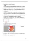 Samenvatting neurowetenschappen: fysiologie (Janssen)