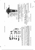 AP Biology Reading Guide/Homework Chapter 20: Phylogeny and the Tree of Life