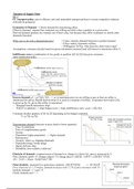 Transport Economics and Management Full Summary