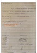 Electromagnetism including hand rules