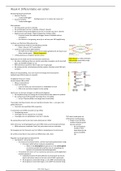Celbiologie samenvatting college, ICT module, leerdoelen, probleemtaak en oefentoets - week 4