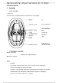 Lichaam en Mond 1  Morfologie samenvatting