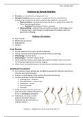 All Evolution Notes - Life Science IEB Grade 12 