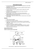 Grade 12 Human Endocrine System - Life Science IEB