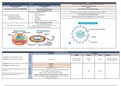 TEMA 1-2 relacionados con la estructura y composición de la célula procariota