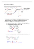 Samenvatting HC.6